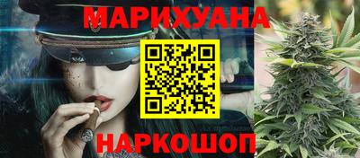 индика Будённовск