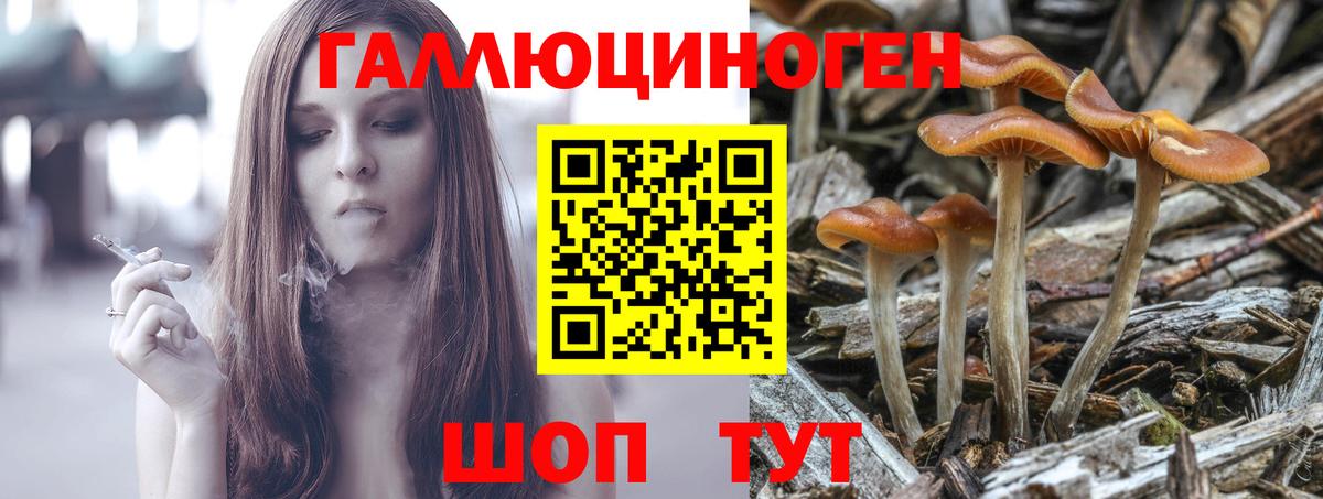 Мирный  Псилоцибиновые грибы ЛСД  где найти   Галлюциногенные грибы Psilocybe  Вход с VPN 